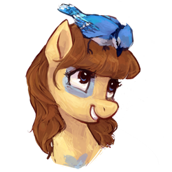 Size: 1024x1024 | Tagged: safe, artist:johling, oc, oc only, bird, blue jay, earth pony, pony, bust, female, looking down, mare, portrait, simple background, sitting on head, smiling, transparent background