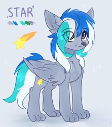 Size: 1690x1910 | Tagged: safe, artist:magicbalance, oc, oc only, oc:star shine, pegasus, wolf, wolf pony, chest fluff, cutie mark, heterochromia, paws, reference sheet, simple background, solo