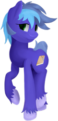 Size: 725x1499 | Tagged: safe, artist:alicorn-without-horn, oc, oc only, oc:memory mark, earth pony, pony, 2020 community collab, derpibooru community collaboration, male, simple background, solo, transparent background