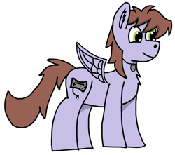 Size: 1910x1692 | Tagged: safe, artist:nutking, oc, oc only, oc:poniton, pegasus, pony, controller, jewelry, male, necklace, simple background, solo, stallion, transparent background