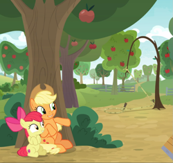 Size: 995x936 | Tagged: safe, derpibooru import, screencap, apple bloom, applejack, earth pony, pony, going to seed, adorabloom, apple sisters, apple tree, cropped, cute, duo, excited, female, filly, foal, hiding, jackabetes, male, mare, siblings, sisters, sitting, smiling, snare trap, trap (device), tree
