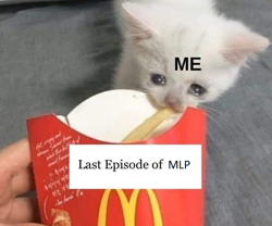 Size: 719x599 | Tagged: safe, cat, barely pony related, caption, crying, crying cat, cute, end of ponies, exploitable meme, food, french fries, image macro, irl, mcdonald's, meme, photo, sad, text