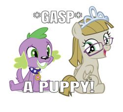 Size: 750x688 | Tagged: artist needed, safe, edit, editor:undeadponysoldier, spike, zippoorwhill, dog, pegasus, pony, equestria girls, adorable face, crack shipping, cute, dialogue, female, foal, gasp, glasses, happy, jewelry, male, shipping, simple background, sitting, smiling, spike the dog, spikoorwhill, straight, text, tiara, white background, zippoorbetes