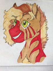 Size: 1024x1366 | Tagged: safe, artist:phobicalbino, oc, oc only, oc:malir, zebra, bust, female, mare, marker drawing, portrait, smiling, solo, traditional art, zebra oc