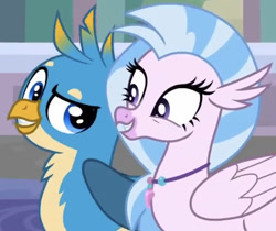Size: 642x539 | Tagged: safe, derpibooru import, screencap, gallus, silverstream, classical hippogriff, griffon, hippogriff, a matter of principals, cropped, cute, diastreamies, duo, female, friends, male, raised eyebrow, smiling