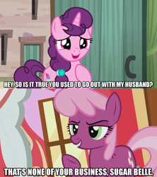 Size: 1280x1440 | Tagged: safe, edit, edited screencap, screencap, cheerilee, sugar belle, earth pony, pony, unicorn, crusaders of the lost mark, hard to say anything, bitch, caption, dialogue, female, image macro, mare, meme, passive aggressive, raised hoof, smiling, smirk, text, underhoof