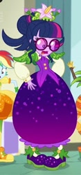 Size: 182x390 | Tagged: safe, sci-twi, twilight sparkle, better together, equestria girls, holidays unwrapped, cornucopia costumes, cropped, o come all ye squashful, solo