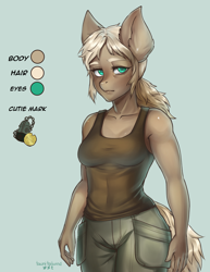 Size: 2550x3300 | Tagged: safe, artist:tawni-tailwind, derpibooru import, oc, oc only, oc:gilded shilling, anthro, anthro oc, clothes, cutie mark, female, mare, muscles, older, pirate, ponytail, reference, reference sheet, solo, tanktop