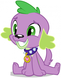 Size: 402x512 | Tagged: artist needed, safe, spike, dog, equestria girls, collar, cute, happy, male, simple background, sitting, smiling, solo, spikabetes, spike the dog, transparent background, vector