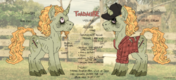 Size: 1100x500 | Tagged: safe, artist:crabsbeverage, oc, oc only, oc:toadmire, pony, unicorn, agender, clothes, curved horn, eyeliner, hat, horn, makeup, reference sheet, shirt, solo, unshorn fetlocks, vulgar