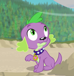 Size: 646x660 | Tagged: safe, derpibooru import, screencap, spike, spike the regular dog, dog, better together, equestria girls, forgotten friendship, cropped, male, paws, solo, tail