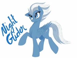 Size: 640x480 | Tagged: safe, artist:mac1918, night glider, pegasus, pony, female, mare, simple background, solo, text, white background