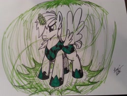 Size: 3264x2448 | Tagged: safe, artist:lucas_gaxiola, oc, oc only, alicorn, pony, alicorn oc, clothes, frown, hoof shoes, male, solo, stallion, traditional art