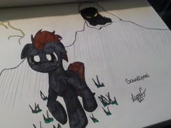 Size: 3264x2448 | Tagged: safe, artist:lucas_gaxiola, oc, oc only, oc:soundspeed, earth pony, pony, earth pony oc, frown, glowing eyes, grass, irl, male, photo, shadow pony, signature, stallion, traditional art