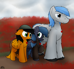 Size: 1981x1852 | Tagged: safe, artist:the-furry-railfan, derpibooru import, oc, oc only, oc:featherweight, oc:night strike, oc:twintails, pegasus, pony, brodie helmet, clothes, cloud, cloudy, field, flower, helmet, jacket, poppy, poppy field, remembrance day, size difference, unshorn fetlocks, veterans day, world war i