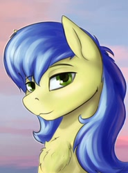 Size: 770x1038 | Tagged: safe, artist:dukevonkessel, oc, earth pony, pony, bust, green eyes, male, portrait, sky, solo, stallion