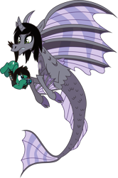 Size: 3099x4663 | Tagged: safe, artist:lightningbolt, derpibooru exclusive, earth pony, pony, siren, .svg available, bring me the horizon, camera, carrying, clothes, cloven hooves, confused, curved horn, duo, fangs, fins, fish tail, frown, hoof hold, horn, kellin quinn, looking down, looking up, male, mouth hold, ponified, shirt, simple background, sleeping with sirens, slit eyes, stallion, svg, t-shirt, tail, tail pull, tom sykes, transparent background, vector