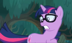 Size: 1047x620 | Tagged: safe, screencap, sci-twi, twilight sparkle, pony, unicorn, better together, equestria girls, spring breakdown, cropped, equestria girls ponified, glasses, ponified, shocked, teeth, unicorn sci-twi