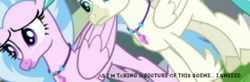 Size: 429x140 | Tagged: source needed, useless source url, safe, edit, edited screencap, screencap, silverstream, terramar, hippogriff, student counsel, angle, camera shot, caption, cropped, meme, sneezing