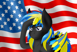 Size: 2300x1559 | Tagged: safe, artist:midnightfire1222, oc, oc:arc flash, pegasus, pony, american flag, commission, flag background, patriotic, proud, salute, solo