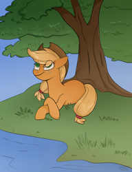 Size: 2000x2600 | Tagged: safe, artist:leslers, derpibooru import, applejack, earth pony, pony, colored pupils, eye clipping through hair, female, grass, high res, lake, mare, prone, river, solo, tree