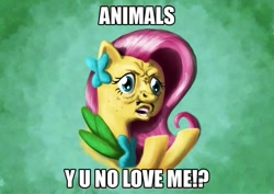 Size: 900x638 | Tagged: safe, artist:br0ny, fluttershy, pegasus, pony, the best night ever, bust, caption, clothes, costume, dress, faic, gala dress, image macro, impact font, meme, solo, text, y u no