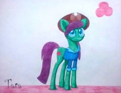 Size: 1179x904 | Tagged: safe, artist:dialysis2day, oc, oc:tara, earth pony, pony, clothes, female, hat, mare, shirt, solo, traditional art