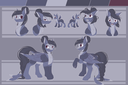 Size: 6000x4000 | Tagged: safe, artist:allex-ai, artist:vavaig69, oc, oc only, oc:olive, pegasus, pony, abstract background, coat markings, expressions, feather, female, hair bun, looking at you, mare, raised hoof, reference sheet, smiling, solo, tail jewelry