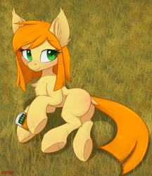 Size: 1900x2204 | Tagged: safe, artist:orang111, derpibooru import, oc, oc only, oc:sweet corn, earth pony, pony, blank flank, can, chest fluff, corn, dock, ear fluff, female, fluffy, food, grass, korean, lying down, mare, smiling, solo