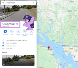 Size: 871x764 | Tagged: safe, twilight sparkle, pony, unicorn, barely pony related, cute, directions, female, geography, google maps, happy, irl, mare, meme, photo, solo, text