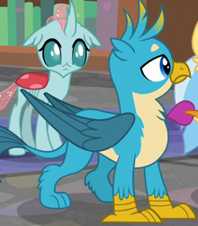 Size: 396x451 | Tagged: safe, derpibooru import, screencap, gallus, ocellus, silverstream, smolder, changedling, changeling, griffon, what lies beneath, chest fluff, claws, cropped, male, offscreen character, paws, tail, wings