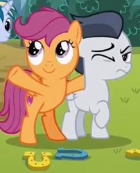 Size: 271x336 | Tagged: safe, screencap, rumble, scootaloo, skeedaddle, pegasus, pony, unicorn, marks and recreation, colt, cropped, duo focus, female, filly, horseshoes, male