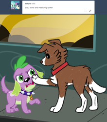 Size: 800x908 | Tagged: safe, artist:askwinonadog, spike, spike the regular dog, winona, dog, equestria girls, alternate dimension, ask, ask winona, duo, poking, tumblr