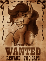 Size: 2042x2671 | Tagged: safe, artist:jamescorck, derpibooru import, oc, oc only, pegasus, pony, fallout equestria, fallout, grin, handsome, male, reward, sketch, smiling, smirk, stallion, the hopeful four, wanted poster, western