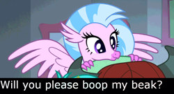 Size: 996x540 | Tagged: safe, derpibooru import, edit, edited screencap, screencap, silverstream, yona, hippogriff, yak, bronybait, cute, diastreamies, meme