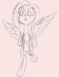 Size: 782x1022 | Tagged: safe, artist:aeropegasus, oc, oc:ap63, pegasus, pony, bipedal, blushing, female, looking down, mare, sketch