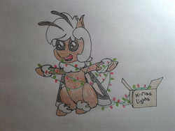 Size: 2576x1932 | Tagged: safe, artist:stemthebug, oc, oc only, oc:stem bedstraw, hybrid, moth, mothpony, original species, box, christmas, christmas lights, cute, holiday, photo, solo, traditional art