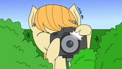 Size: 1192x670 | Tagged: safe, artist:onlymeequestrian, oc, oc only, pegasus, pony, bush, camera, solo