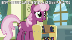 Size: 641x359 | Tagged: safe, edit, edited screencap, editor:undeadponysoldier, screencap, cheerilee, a flurry of emotions, book, caption, cheeribetes, cute, image macro, meme, ponyville schoolhouse, solo, summer, talking to viewer, text, window