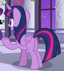 Size: 375x418 | Tagged: safe, screencap, rarity, twilight sparkle, twilight sparkle (alicorn), alicorn, pony, unicorn, the summer sun setback, butt, cropped, plot