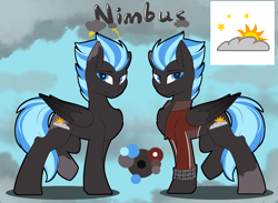 Size: 4680x3424 | Tagged: safe, artist:beardie, oc, oc:nimbus, pegasus, pony, clothes, color palette, colored wings, cutie mark, gradient wings, jacket, looking at you, male, reference sheet, side view, stallion, two toned mane, two toned tail, wings