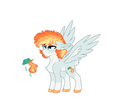 Size: 2500x2000 | Tagged: safe, artist:koloredkat, oc, oc only, oc:hurricane, pegasus, pony, chest fluff, colored hooves, freckles, magical lesbian spawn, offspring, parent:applejack, parent:rainbow dash, parents:appledash, pegasus oc, reference sheet, simple background, transparent background, wings