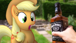 Size: 1280x720 | Tagged: safe, artist:stormxf3, applejack, earth pony, pony, alcohol, applejack daniel's, irl, jack daniels, open mouth, outdoors, photo, ponies in real life, shocked expression, youtube