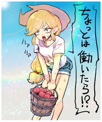 Size: 1000x1200 | Tagged: safe, artist:ceitama, derpibooru import, applejack, human, apple, carrying, clothes, female, food, humanized, japanese, shirt, shorts, solo, sweat