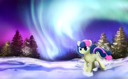 Size: 5120x3200 | Tagged: safe, artist:startledflowerpony, bon bon, sweetie drops, pony, aurora borealis, snow, solo, tree