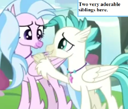 Size: 473x403 | Tagged: safe, edit, edited screencap, screencap, silverstream, terramar, student counsel, brother and sister, captain obvious, cropped, cute, diastreamies, female, inset, jewelry, male, necklace, siblings, terrabetes, text