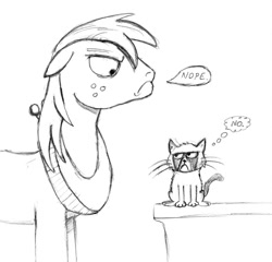 Size: 900x863 | Tagged: safe, artist:cartoon-eric, big macintosh, cat, earth pony, pony, grayscale, grumpy cat, in memory, monochrome, nope