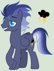 Size: 1484x1932 | Tagged: safe, artist:frostylithi, derpibooru import, oc, oc:skybreaker, pegasus, pony, male, offspring, parent:rainbow dash, parent:soarin', parents:soarindash, simple background, solo, stallion, underhoof