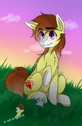 Size: 1048x1621 | Tagged: safe, artist:joe☆starpon3, oc, earth pony, pony, solo, sunset