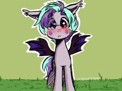 Size: 1600x1200 | Tagged: safe, artist:cottonsweets, oc, oc only, oc:blueberry moon, bat pony, pony, bat pony oc, blushing, cute, eye clipping through hair, floppy ears, green background, heterochromia, looking at you, original character do not steal, simple background, solo, spread wings, wings